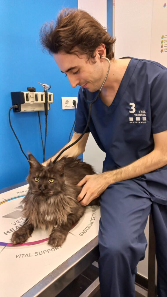 Clinica Veterinaria del Bienestar Barcelona Clinica Veterinaria del Bienestar Barcelona