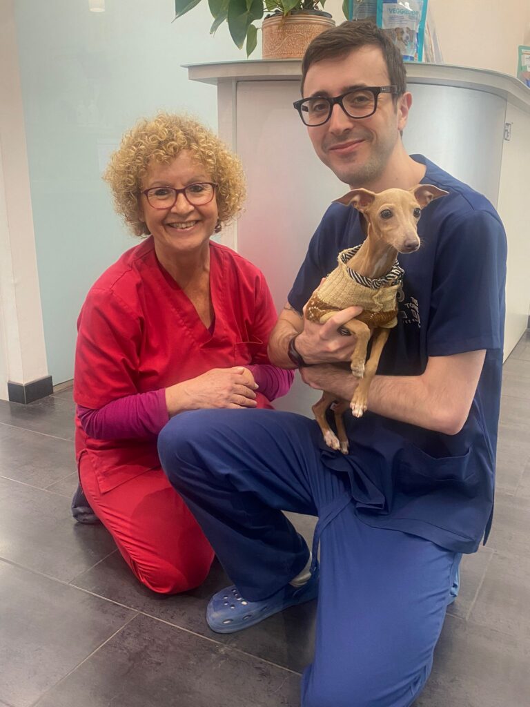 Clinica Veterinaria Barcelona Clinica Veterinaria Barcelona