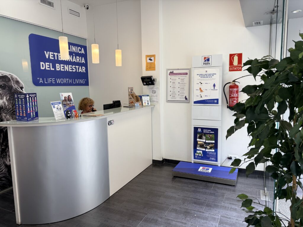 Clinica Veterinaria Barcelona Clinica Veterinaria Barcelona